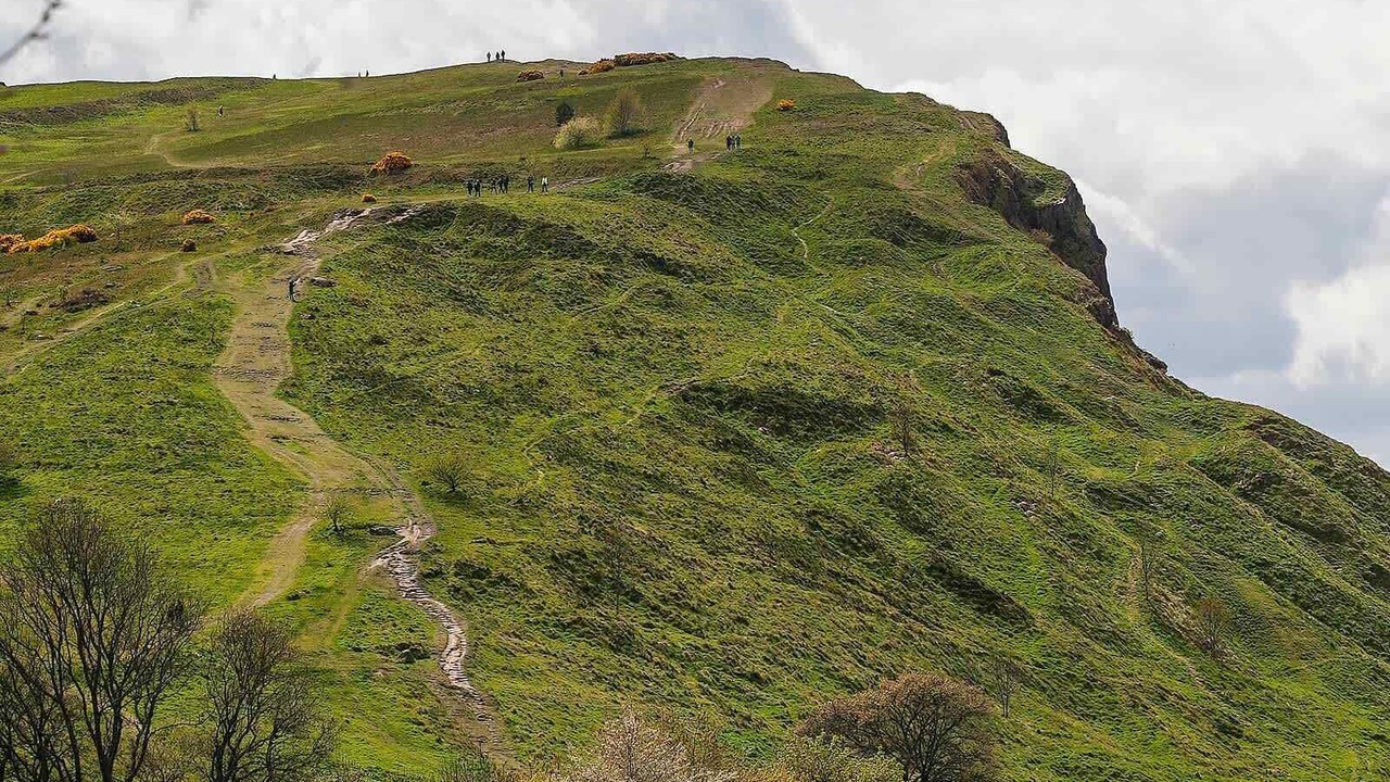 Photo of Others in Gifford