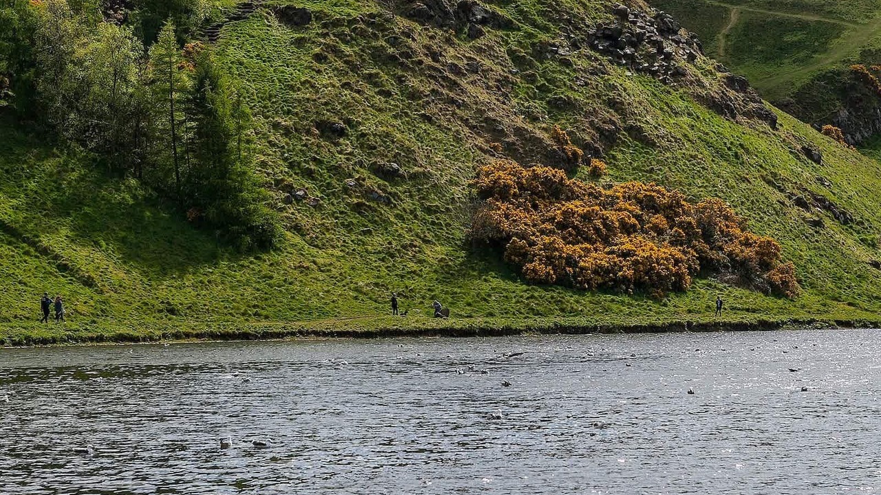 Photo of Others in Gifford