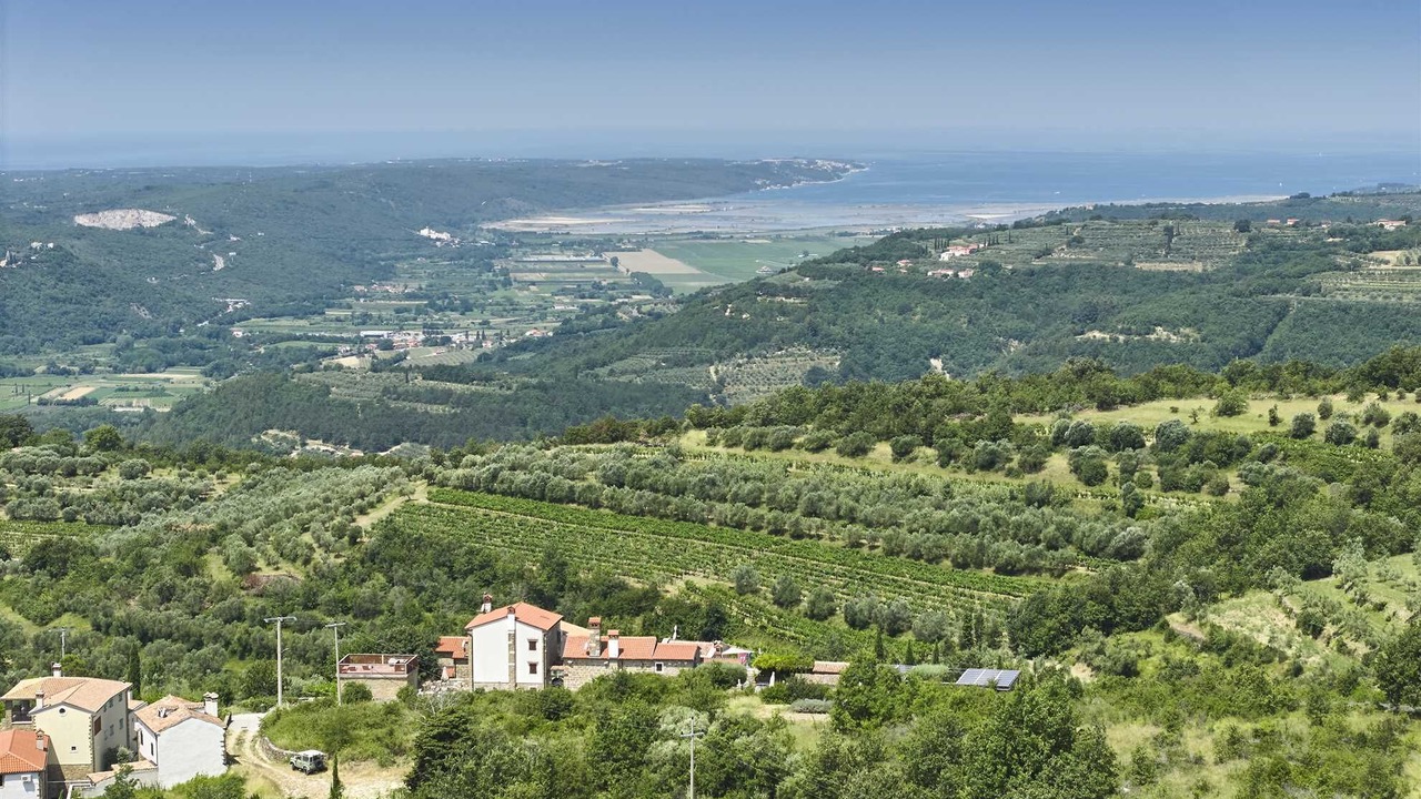 Photo of Outdoor in Buje
