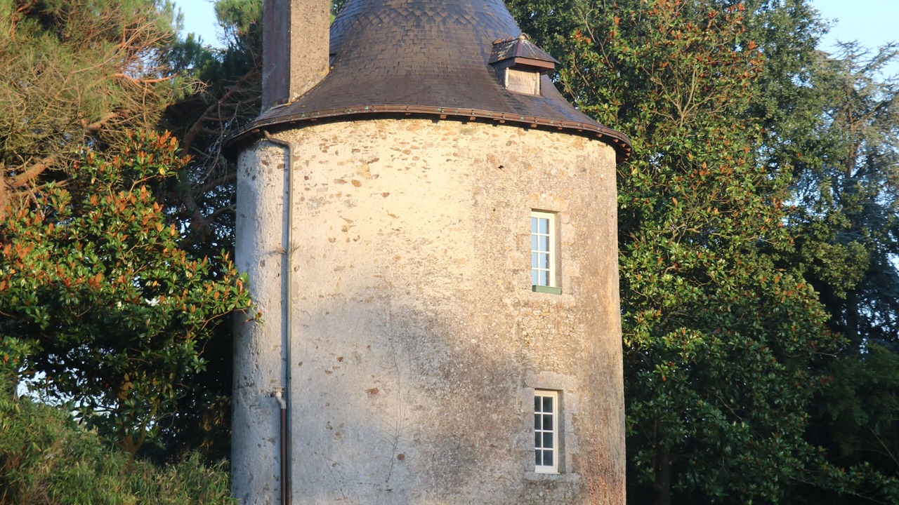 Photo of Outdoor in Saint-Hilaire-de-Loulay