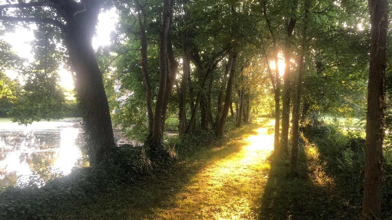 Photo of Outdoor in Saint-Hilaire-de-Loulay