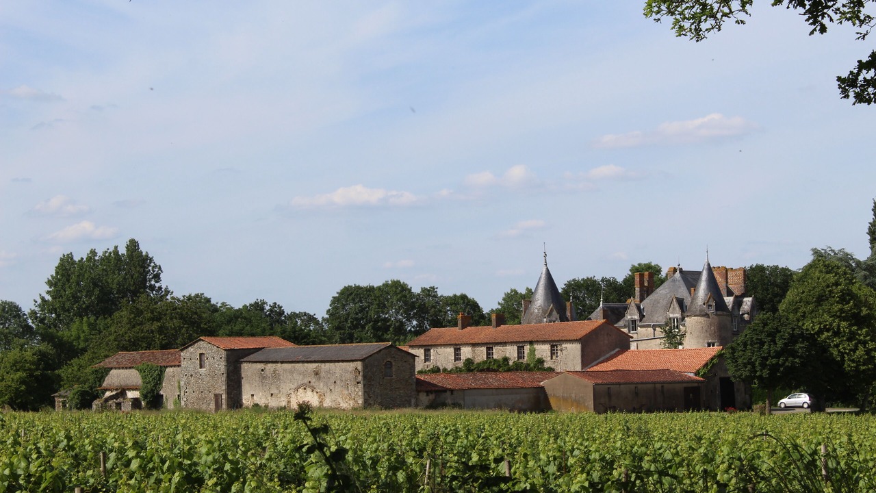 Photo of Outdoor in Saint-Hilaire-de-Loulay