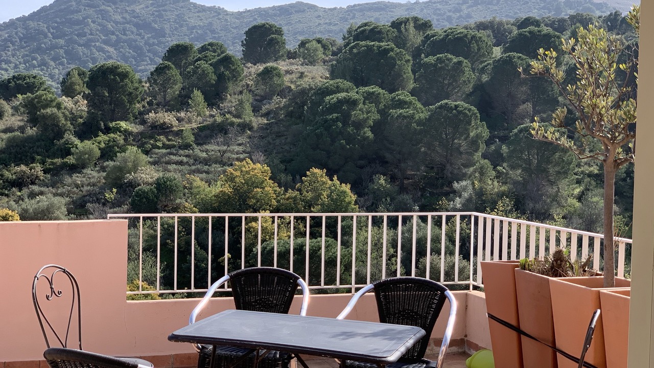 Photo of Outdoor in Collioure