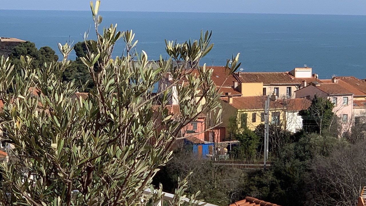 Photo of Others in Collioure