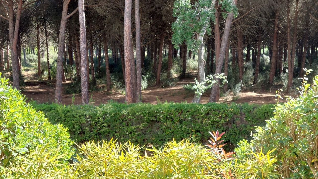 Photo of Outdoor in La Grande-Motte
