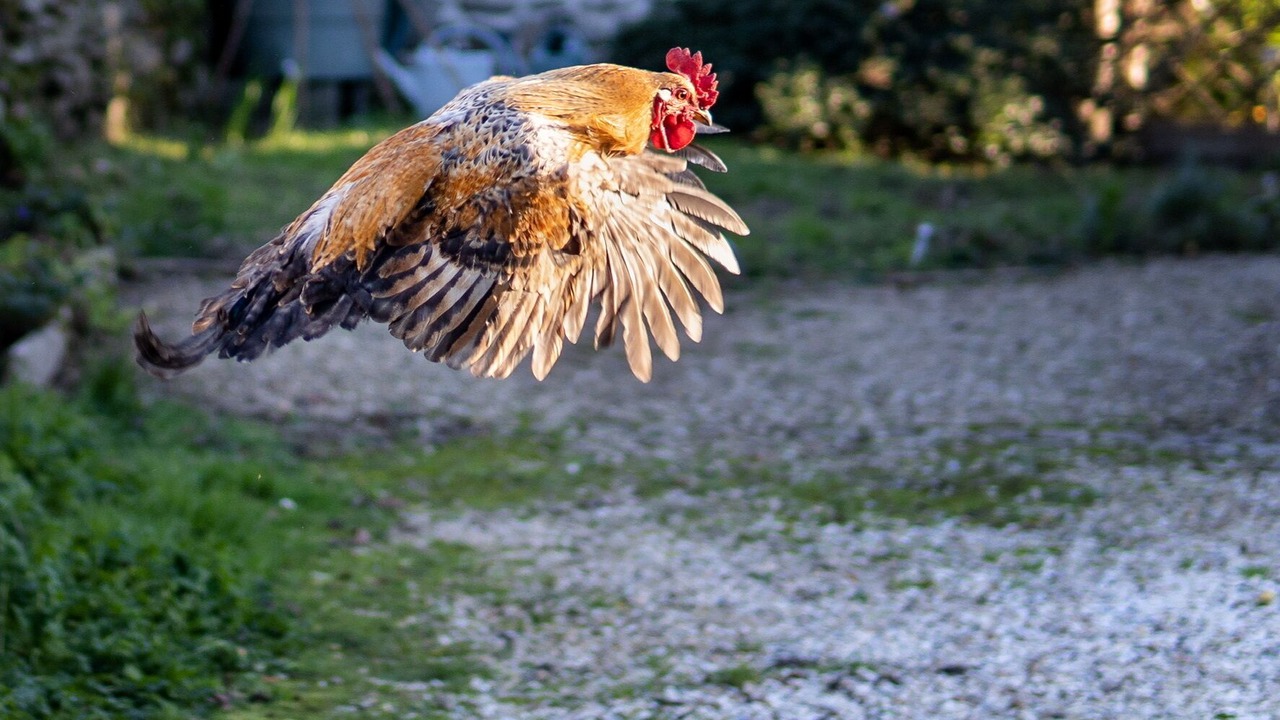 Photo of Outdoor in Guilvinec