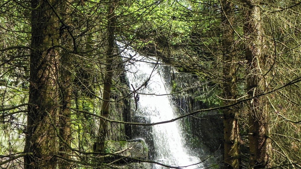 Photo of Others in Spennithorne