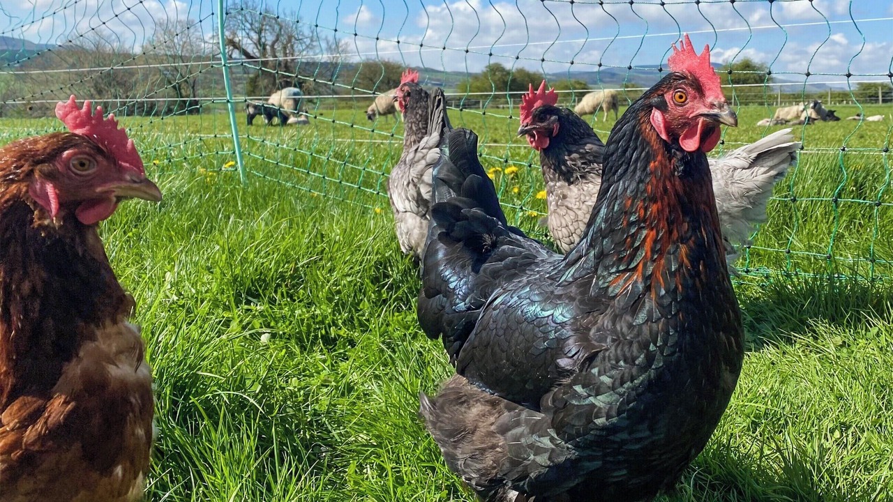 Photo of Outdoor in Spennithorne