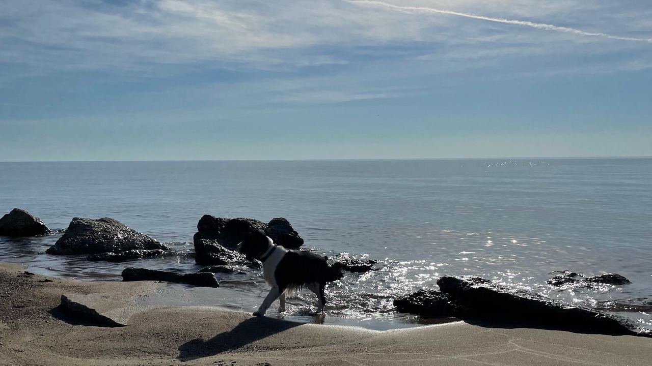 Photo of Others in Oscoda