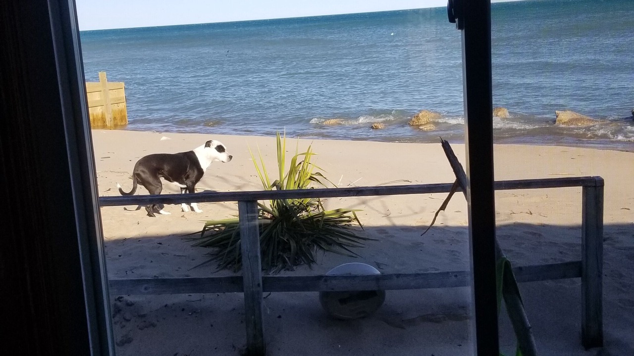 Photo of Others in Oscoda