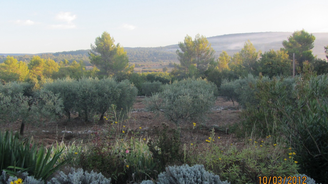 Photo of Outdoor in Tavernes