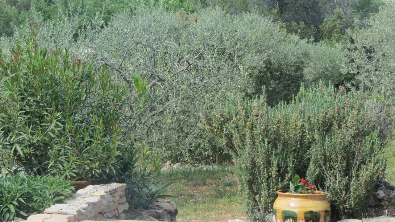 Photo of Outdoor in Tavernes