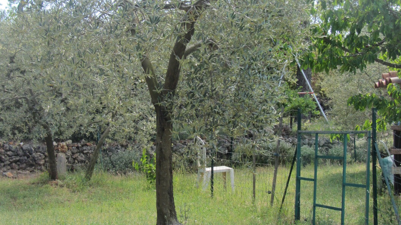 Photo of Outdoor in Tavernes