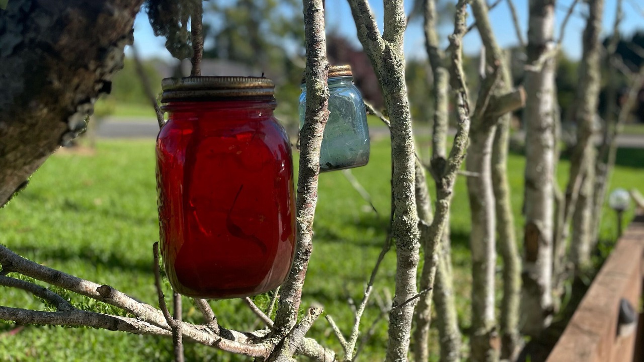 Photo of Outdoor in Moss Vale