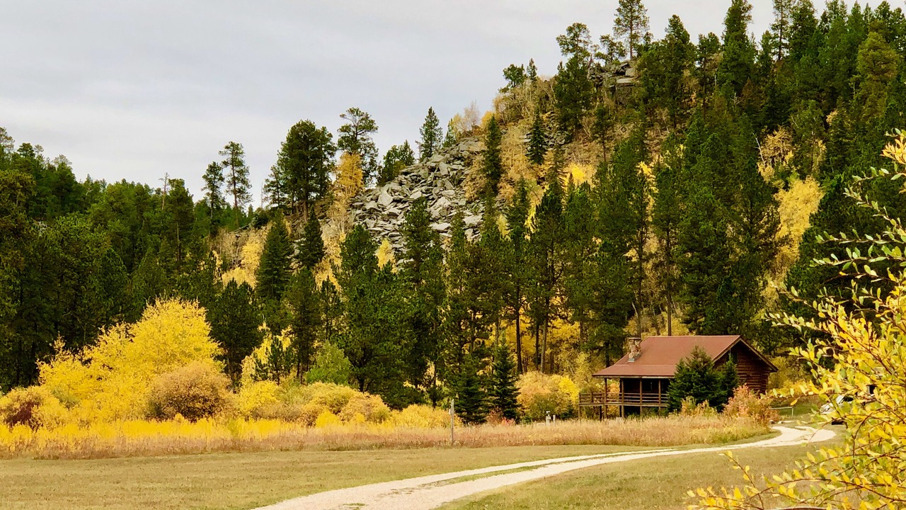 Photo of Others in Custer