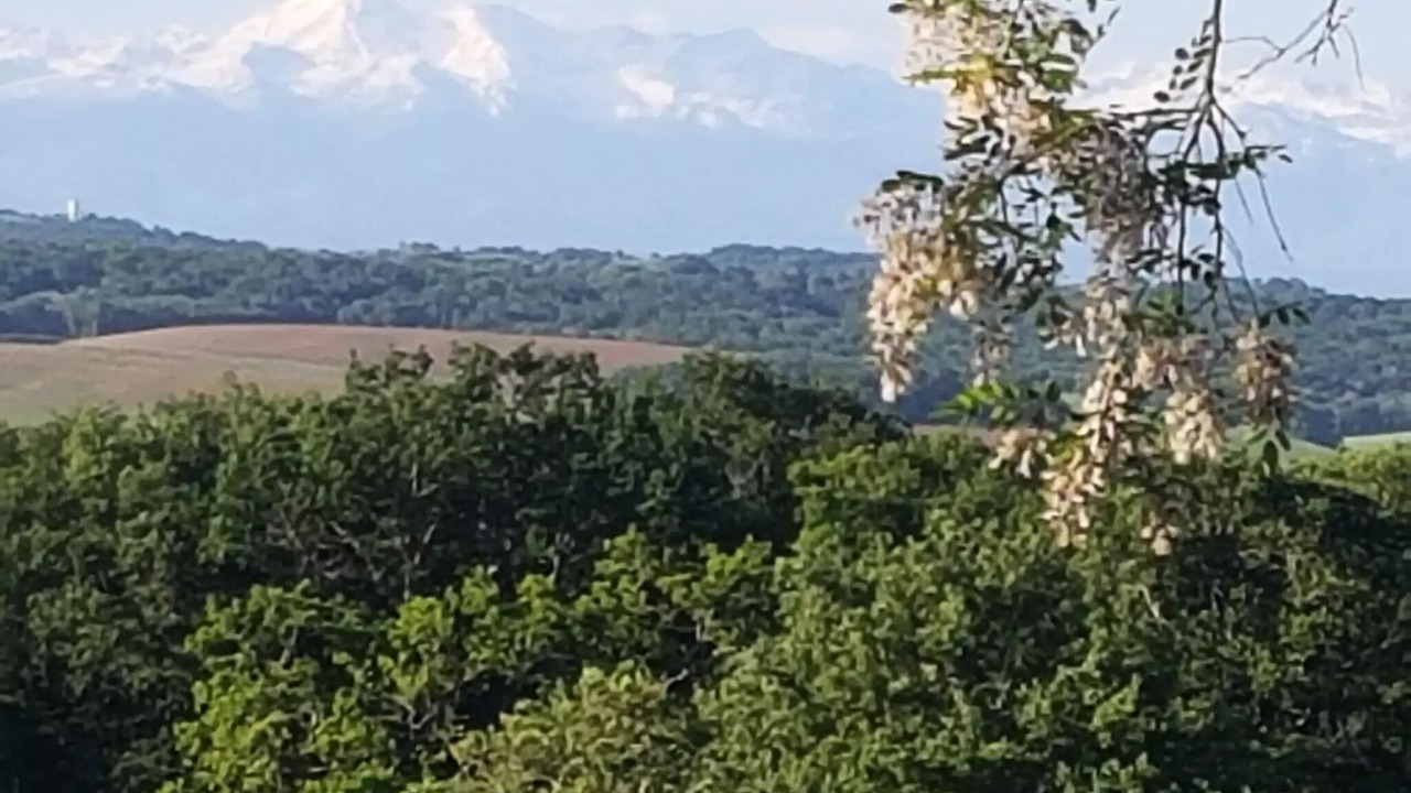 Photo of Others in Marciac