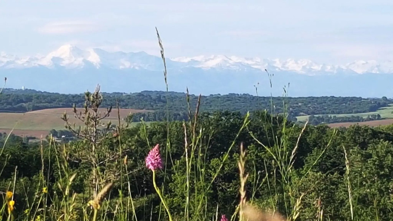 Photo of Others in Marciac