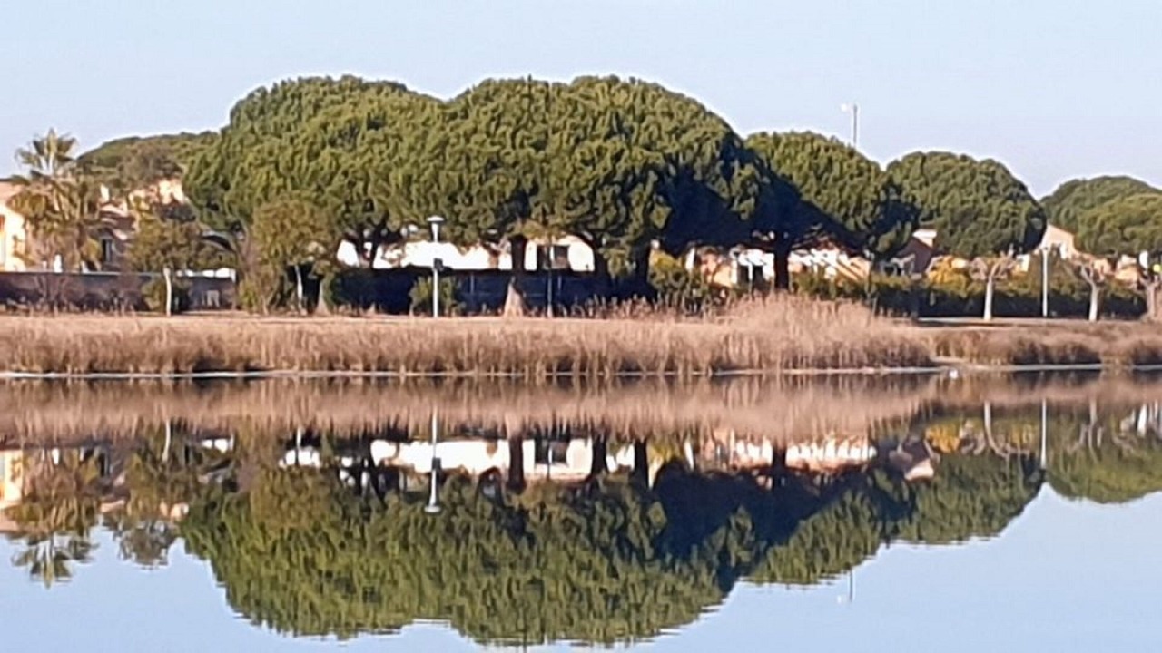 Photo of Outdoor in Le Grau-Du-Roi