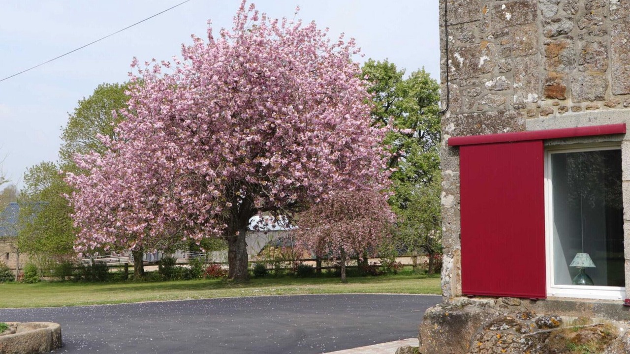 Photo of Outdoor in Menil-Gondouin