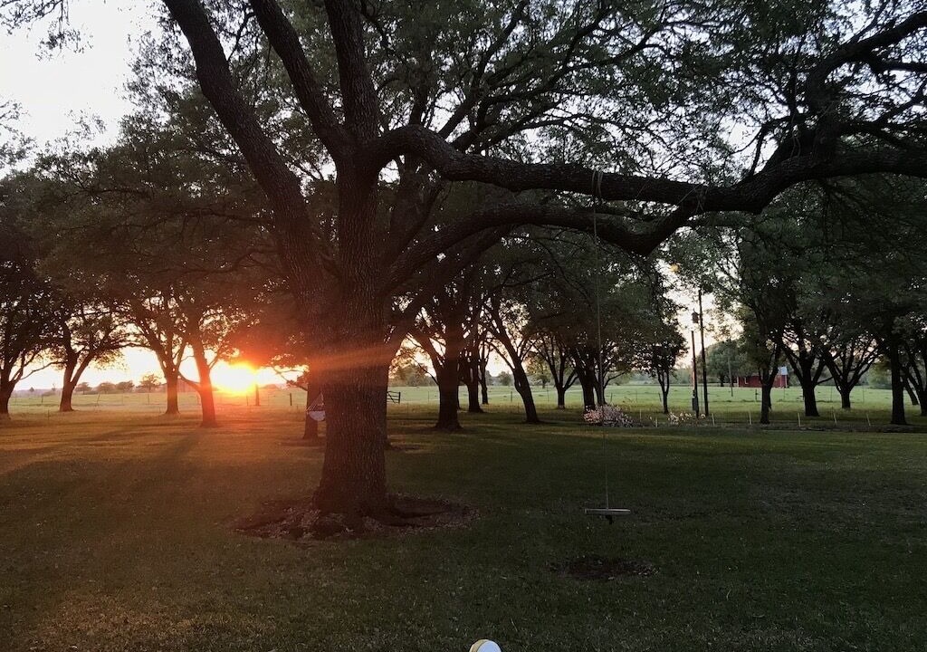 Photo of Outdoor in Hempstead