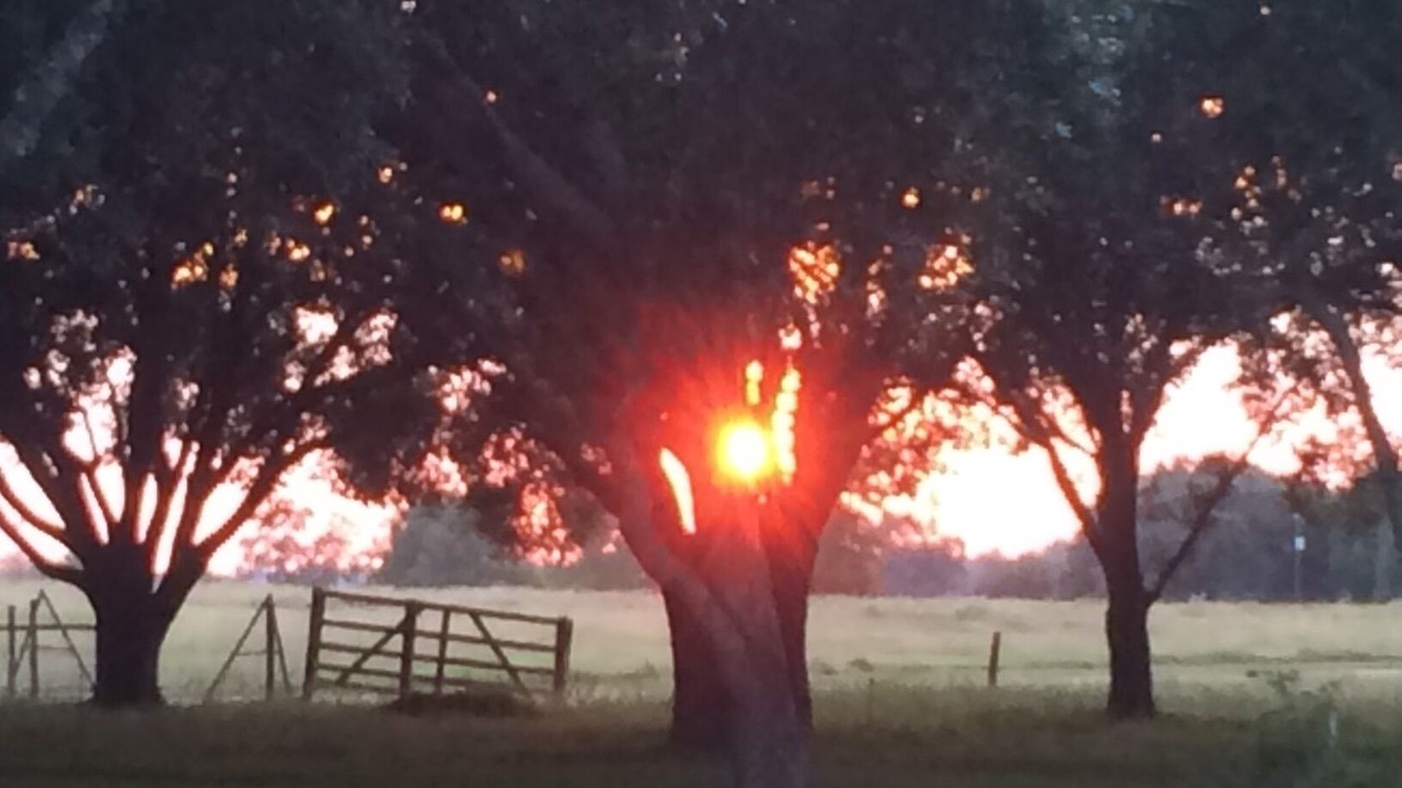 Photo of Outdoor in Hempstead