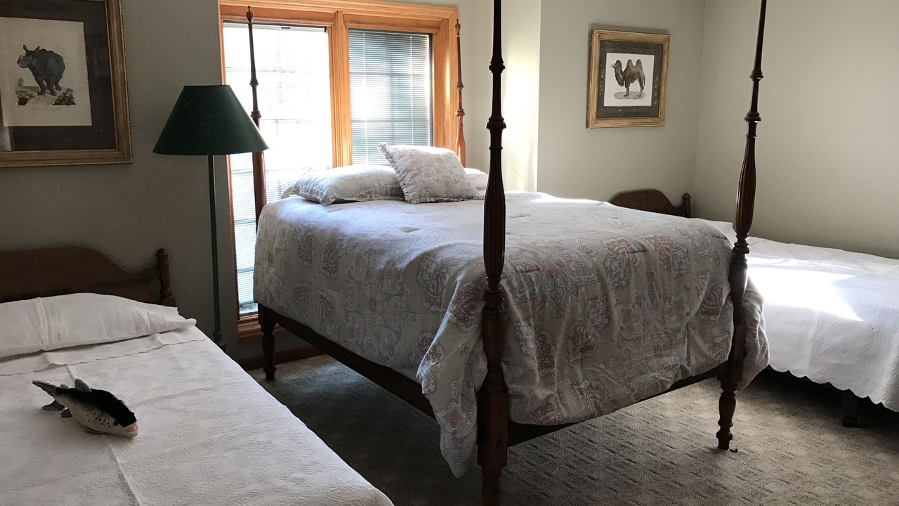Photo of Bedroom in Starlight