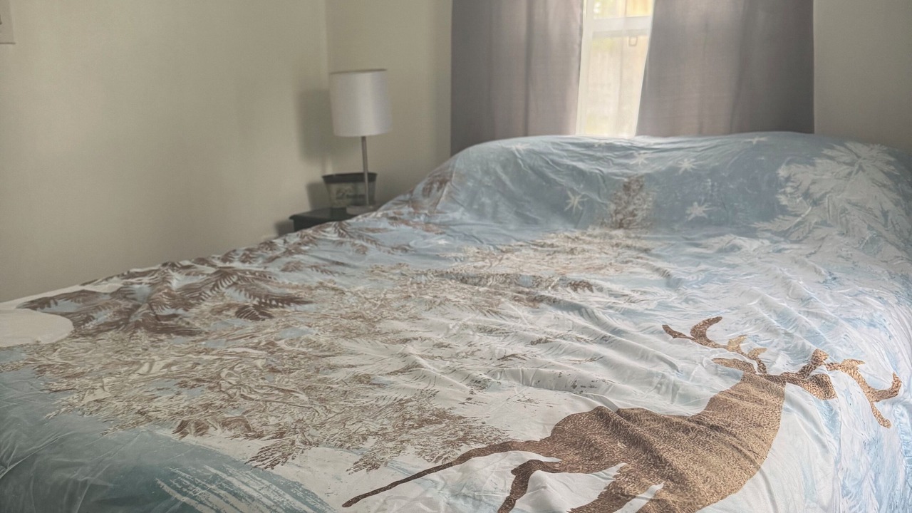 Photo of Bedroom in Town of Webb