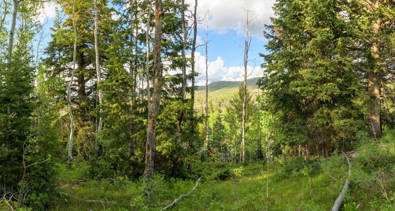 Photo of Outdoor in Timber Lakes