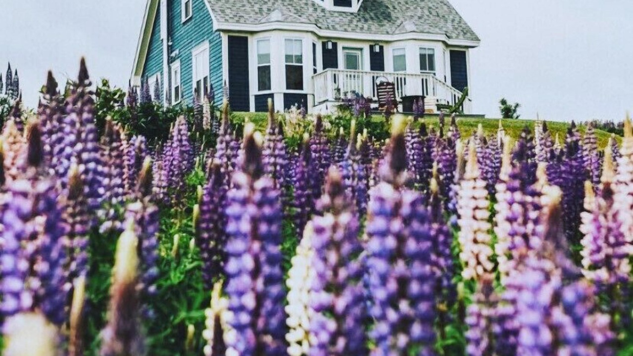 Photo of Outdoor in Trinity