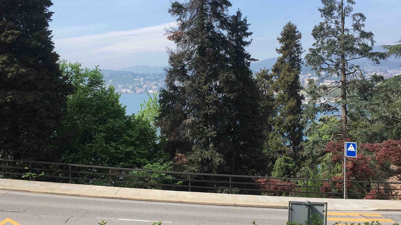 Photo of Others in Lugano
