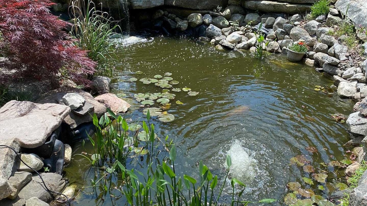 Photo of Outdoor in Pine Bush