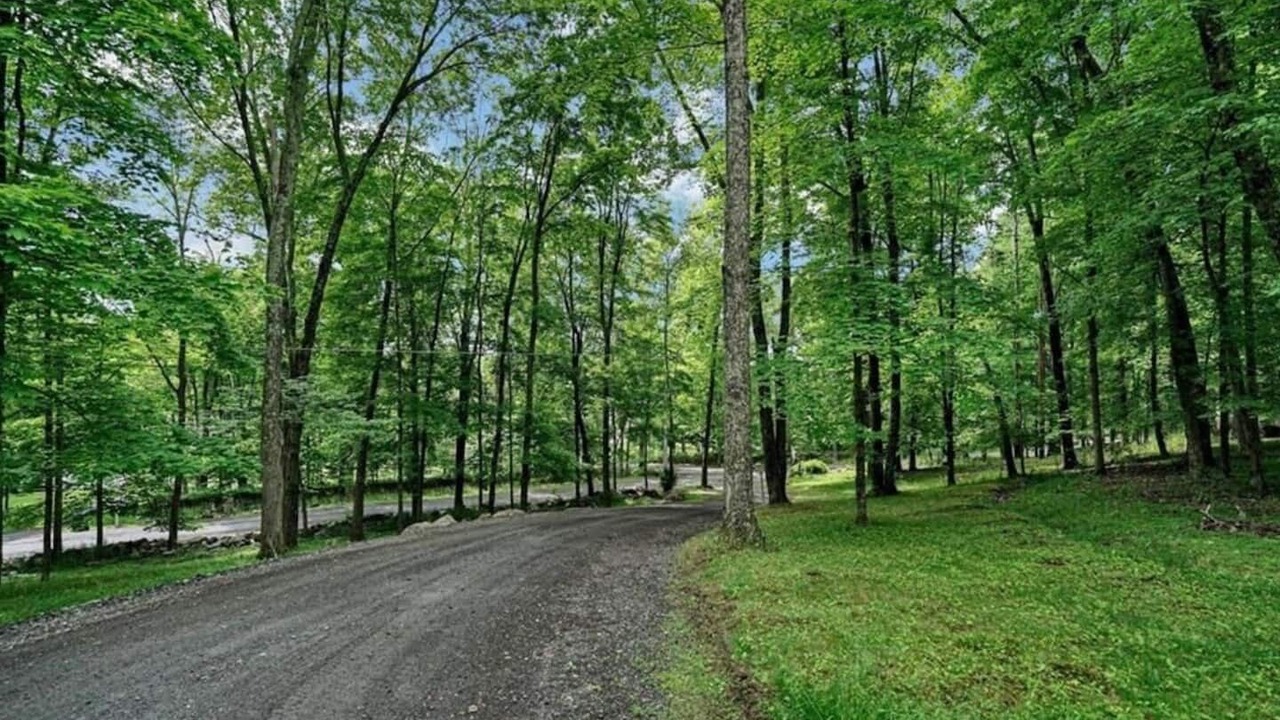 Photo of Outdoor in Pine Bush