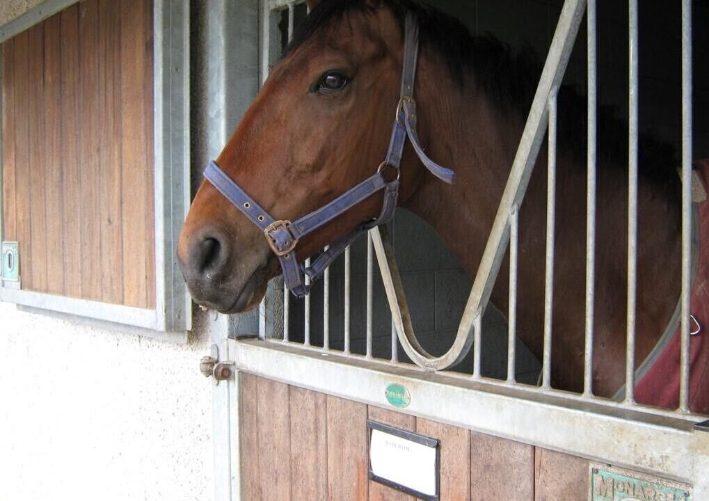 Photo of Outdoor in Winscales