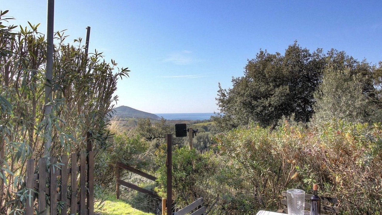 Photo of Outdoor in Cargese