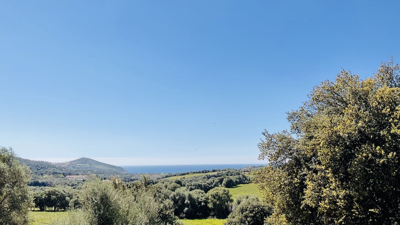 Photo of Outdoor in Cargese