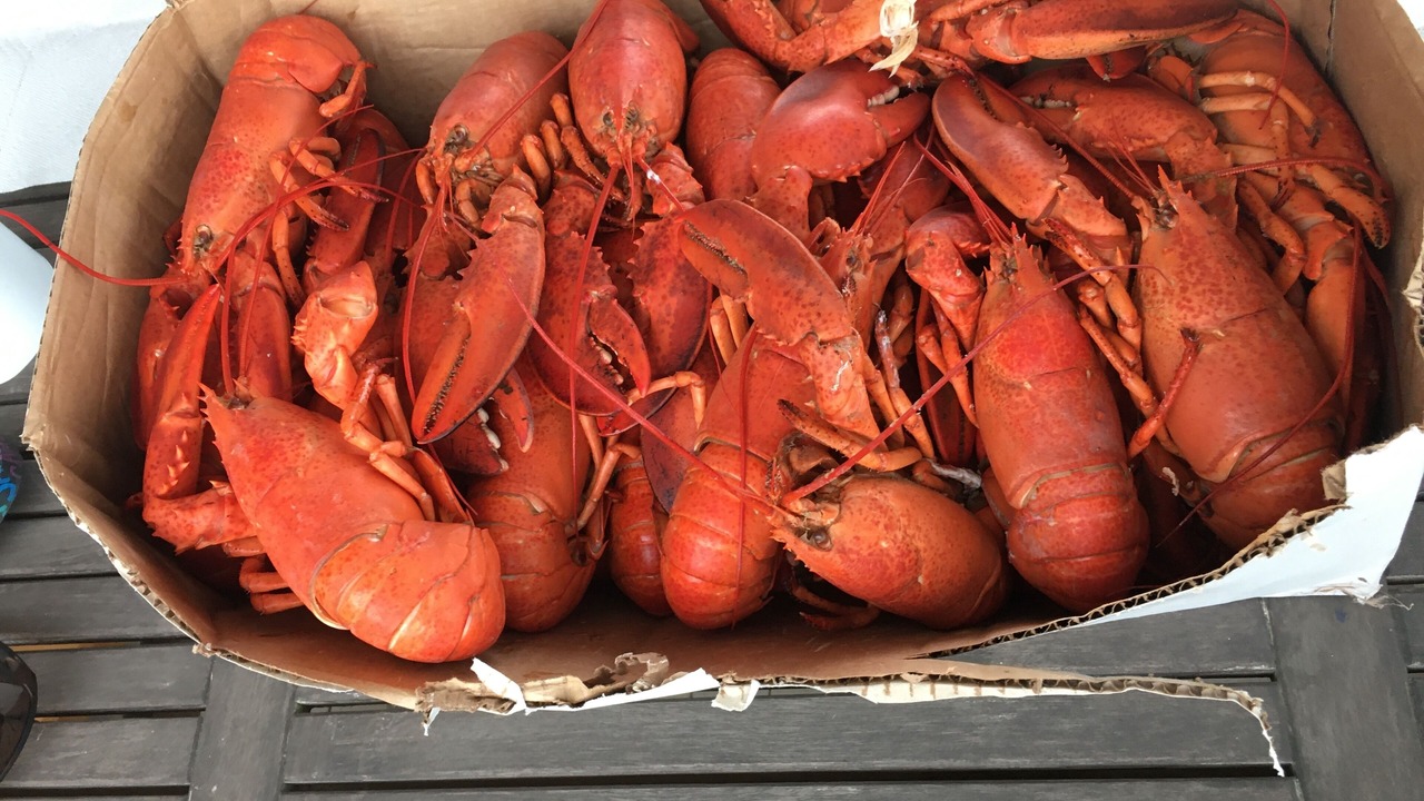 Photo of Others in Boularderie