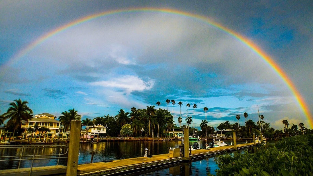 Photo of Others in Everglades City