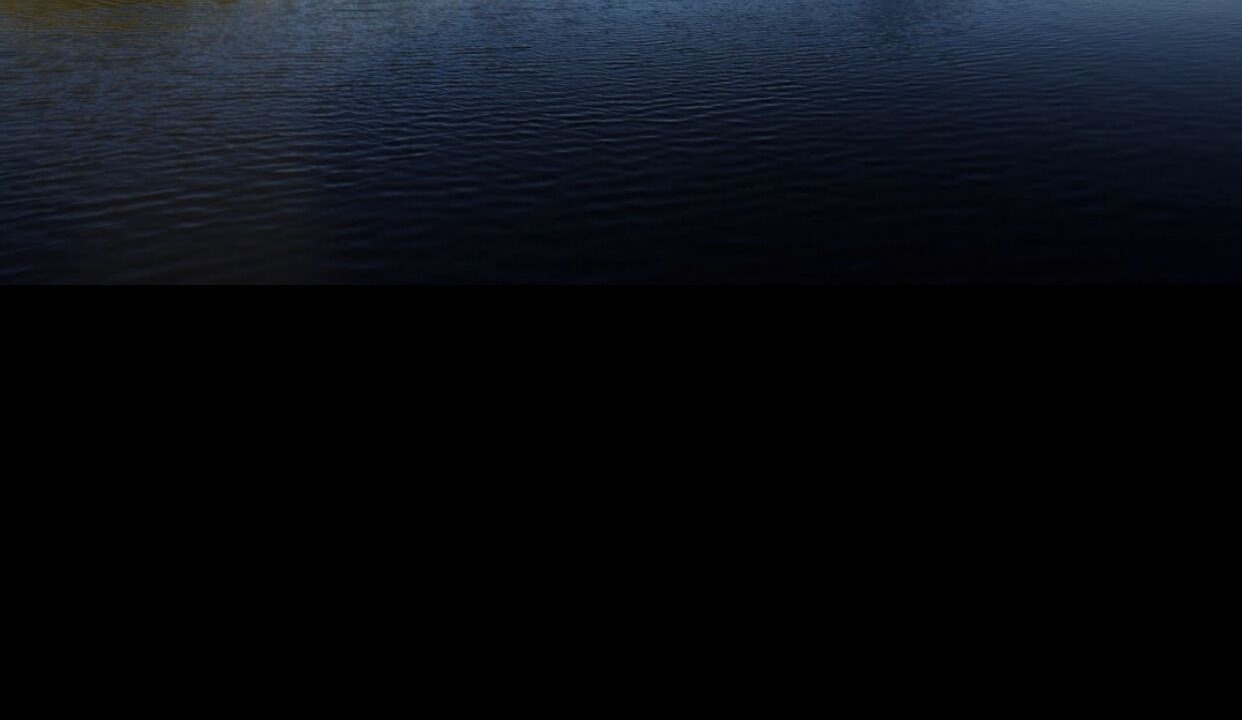 Photo of Others in Everglades City
