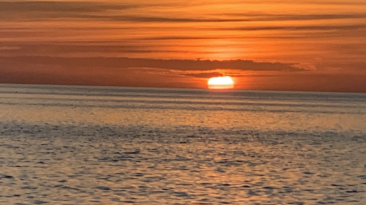 Photo of Others in Everglades City