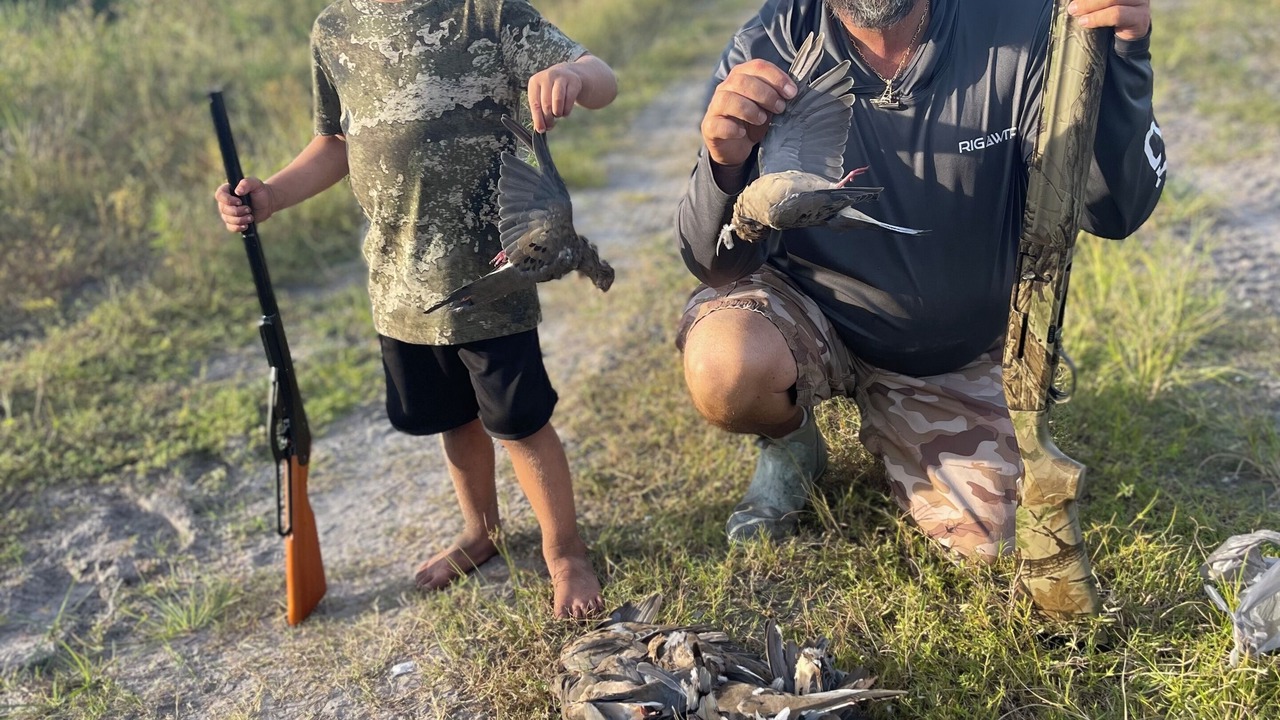 Photo of Outdoor in Everglades City