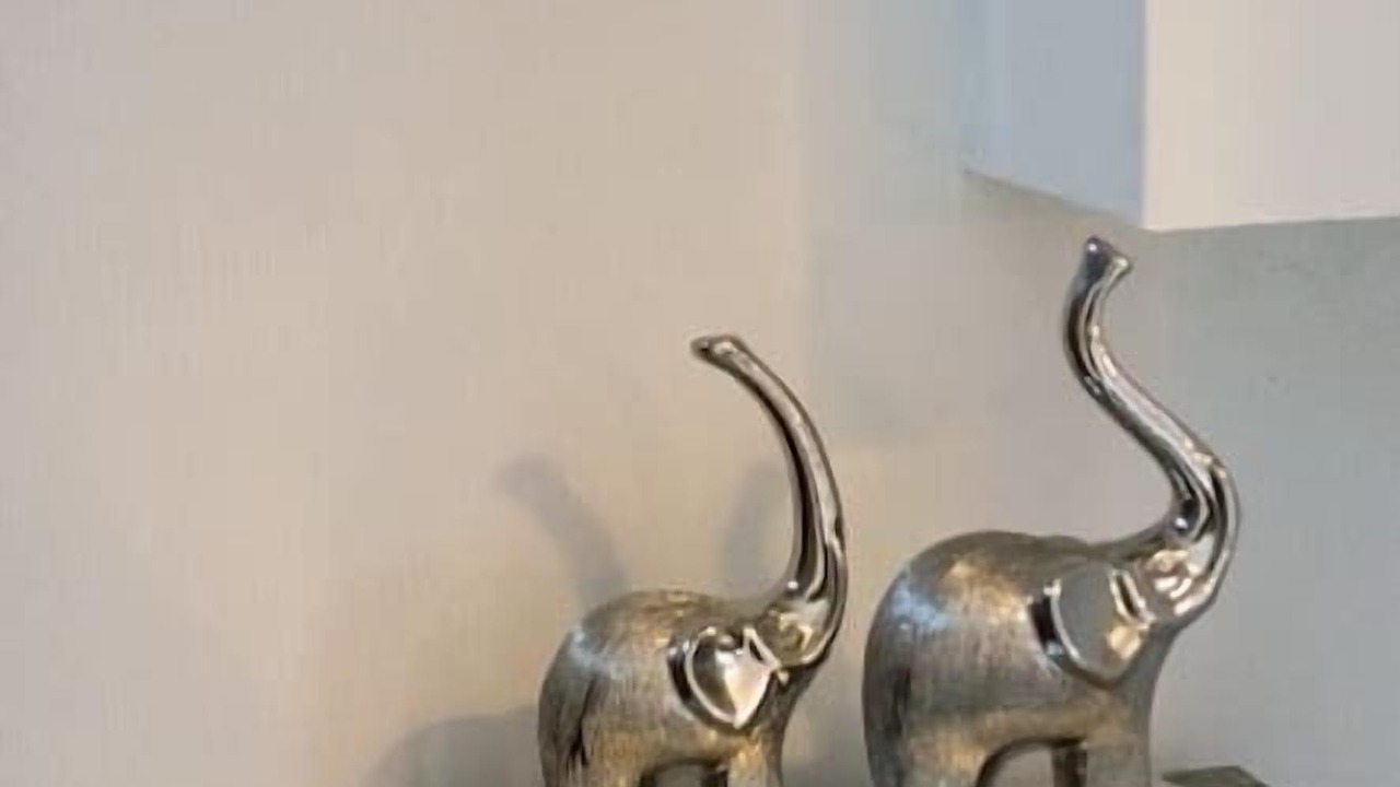 Photo of Others in Hennebont