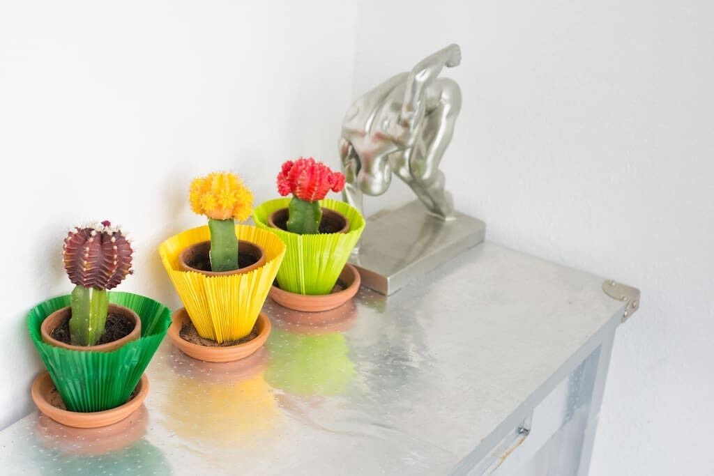 Photo of Others in Hennebont