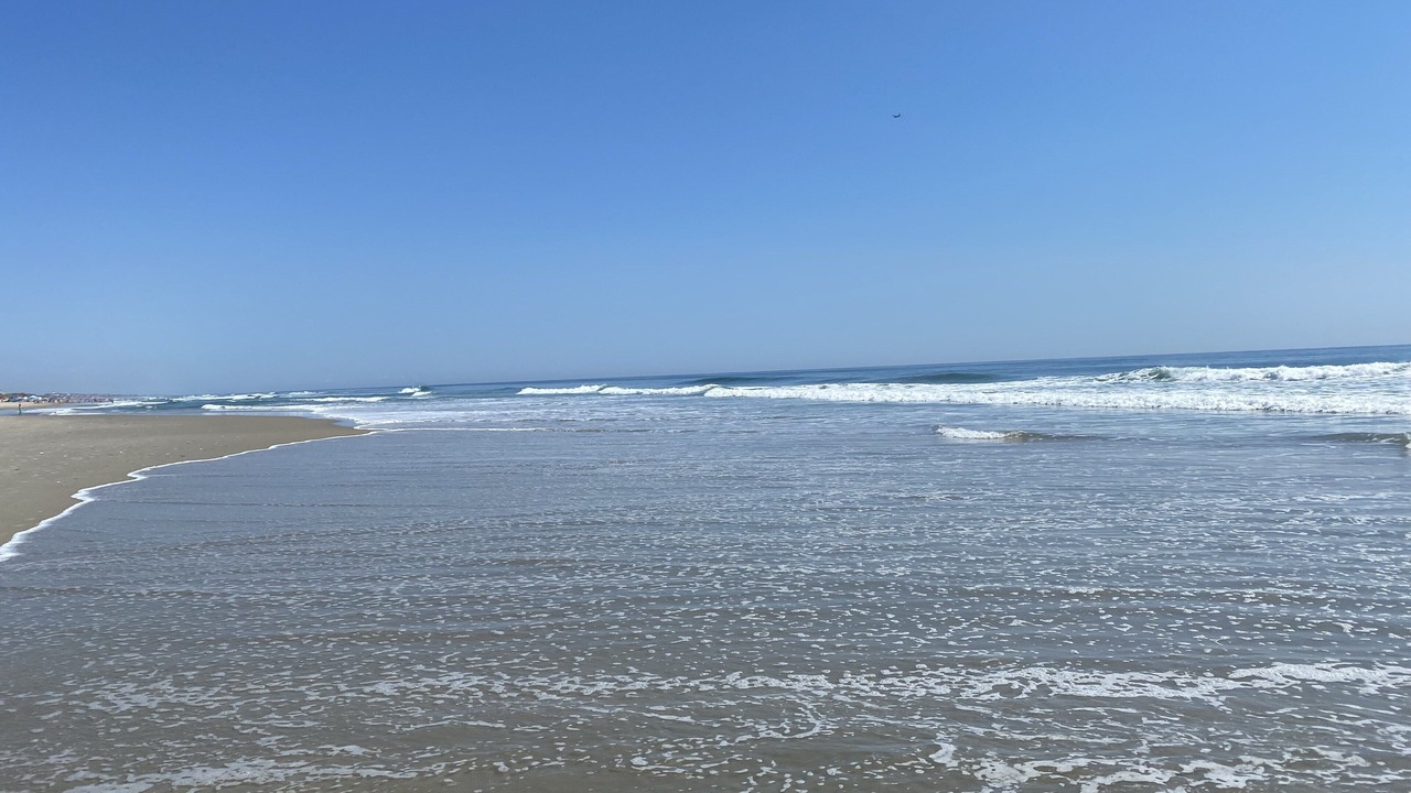 Photo of Others in Ocean Sands