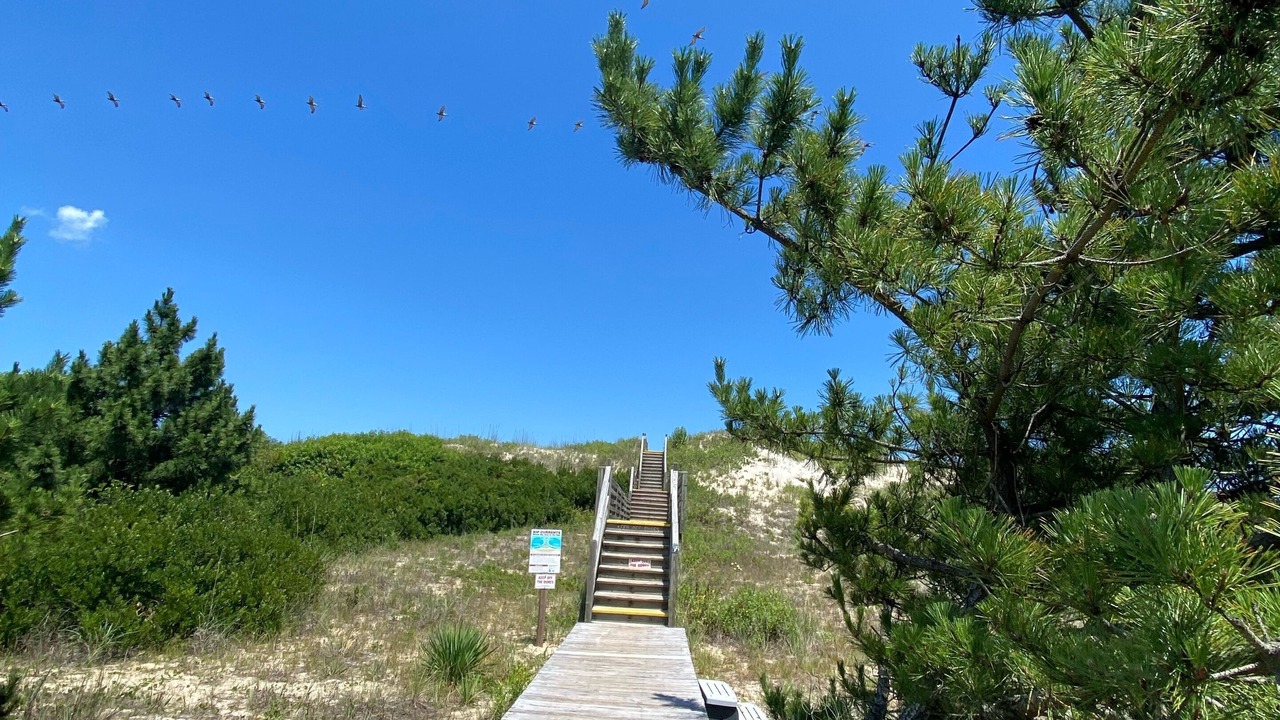 Photo of Outdoor in Ocean Sands