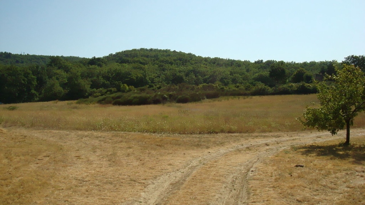 Photo of Others in Apt