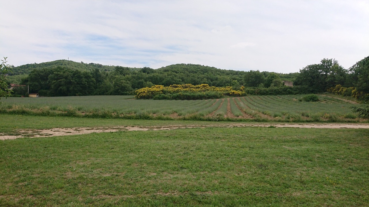 Photo of Others in Apt