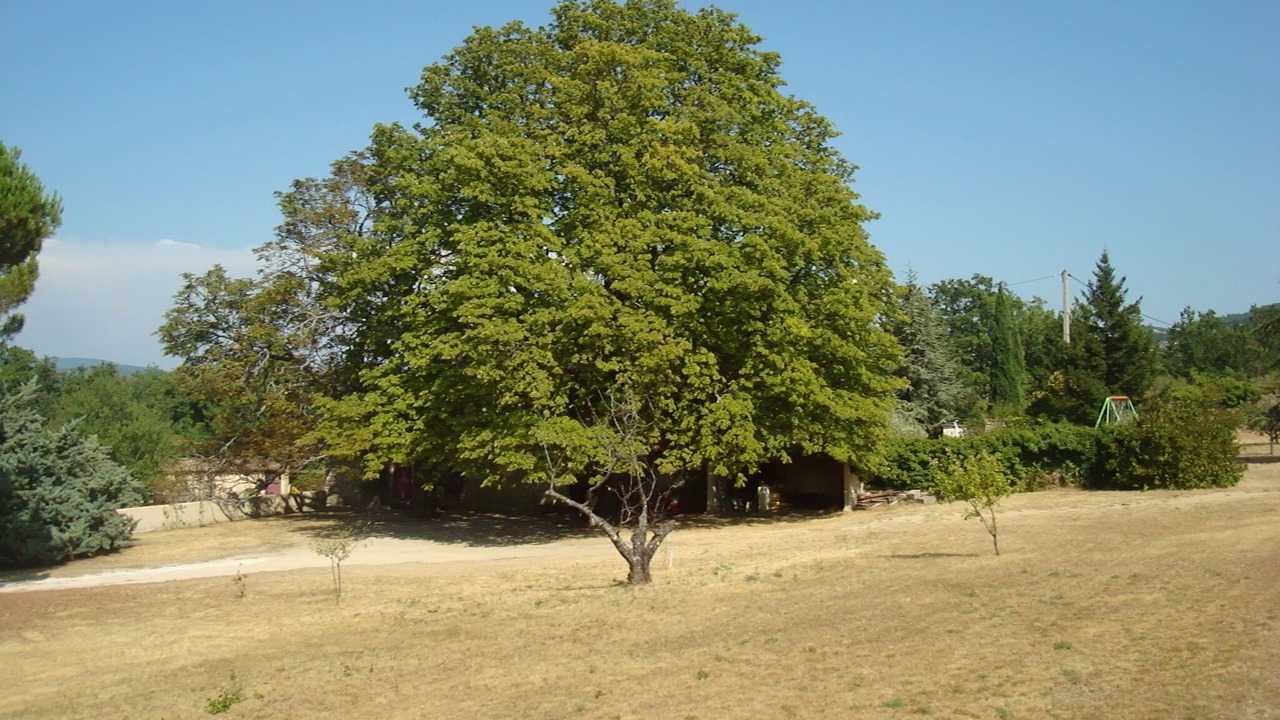 Photo of Outdoor in Apt
