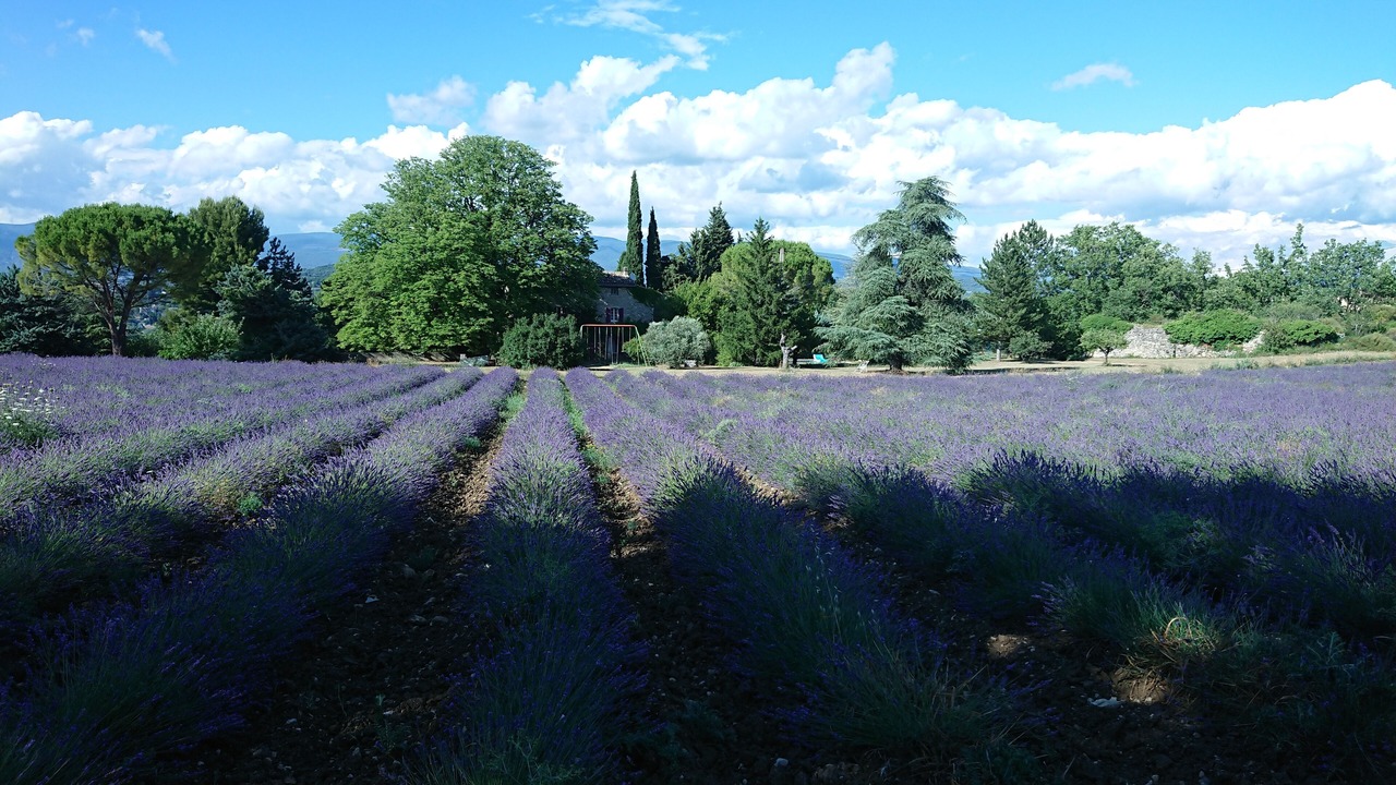Photo of Outdoor in Apt