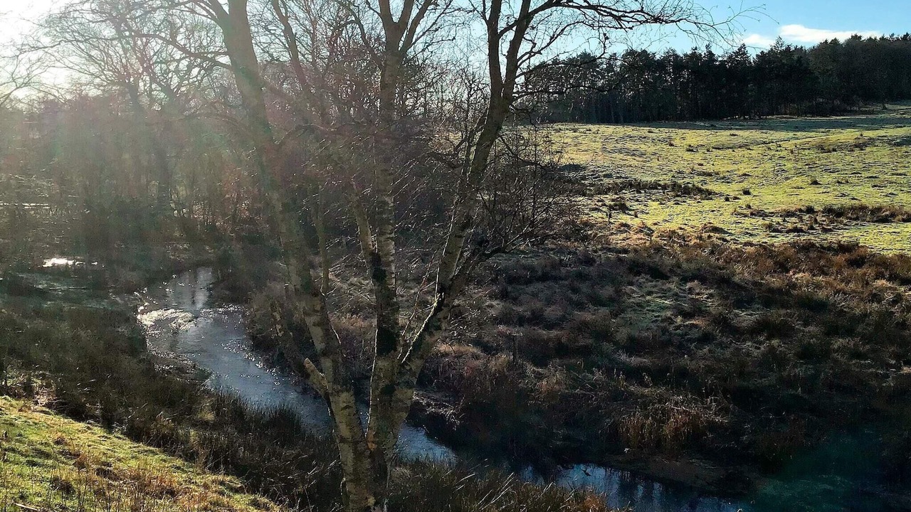 Photo of Outdoor in Holstebro