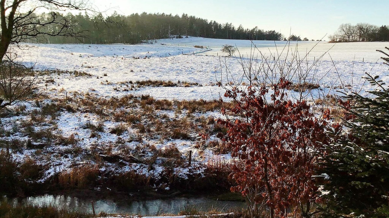 Photo of Outdoor in Holstebro